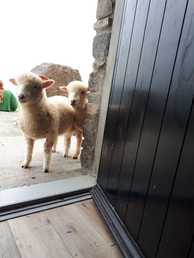 Old Irish Farmhouse Dingle Exterior foto